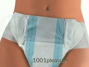 1001pleasure