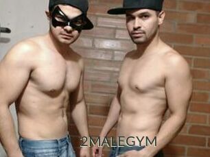 2MALEGYM
