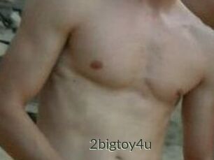 2bigtoy4u