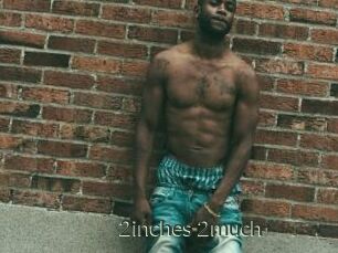 2inches_2much