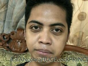 ASIANcobraHUGEcockPRINCE