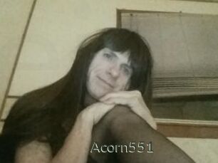 Acorn551