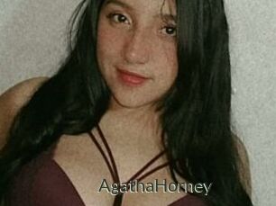 AgathaHorney