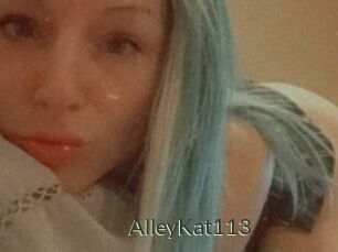 AlleyKat113