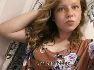 AmbersNeed