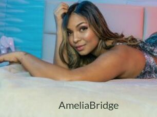 AmeliaBridge