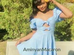 AminyanMacaron