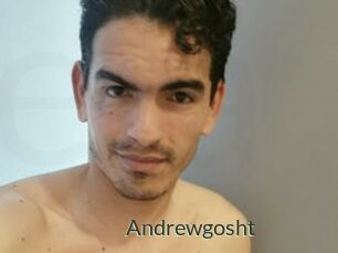 Andrewgosht