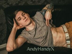 AndyHandyX