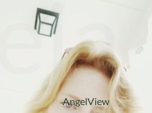 AngelView