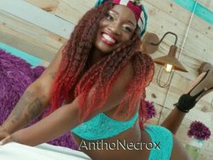 AnthoNecrox