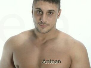 Antoan