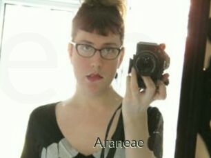 Araneae