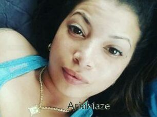 Aria_Maze
