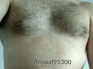 Arnaud95300