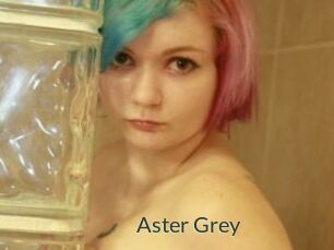 Aster_Grey