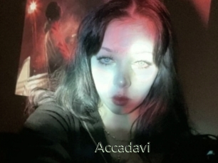 Accadavi