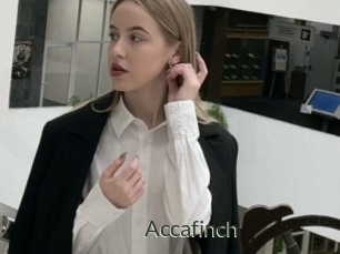 Accafinch