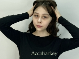 Accaharkey