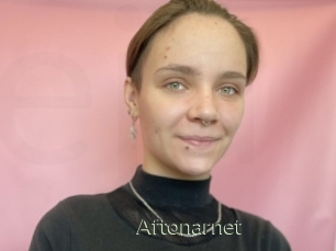 Aftonarnet