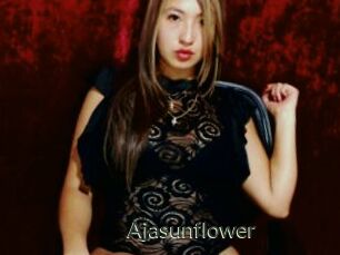 Ajasunflower