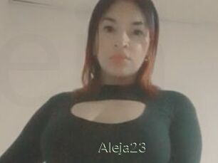 Aleja23