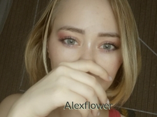Alexflower
