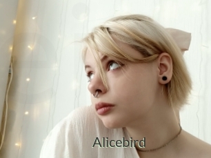 Alicebird