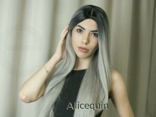 Alicequin