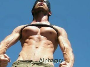 Alphaguy