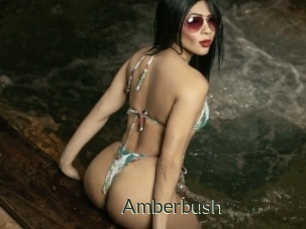 amberbush Ejaculator