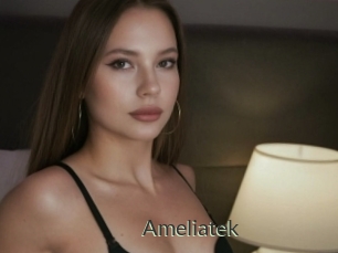 Ameliatek