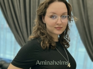 Aminaholms