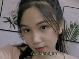 Amisanajem