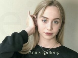 Amitybudlong