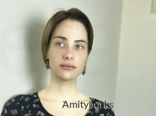 Amityburks