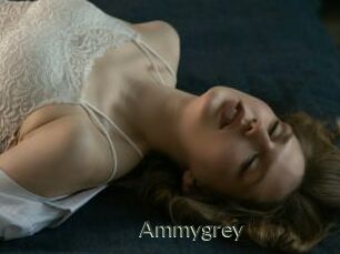 Ammygrey