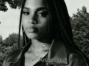 Analquin