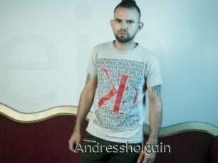 Andressholguin