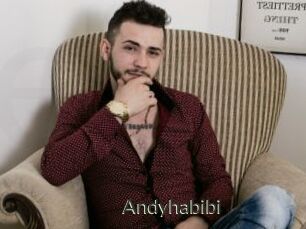 Andyhabibi