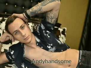 Andyhandsome