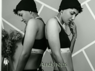 Andyhops