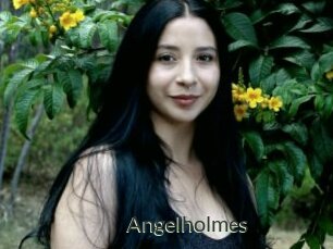 Angelholmes