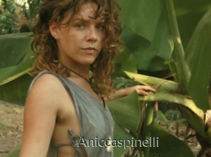 Aniccaspinelli