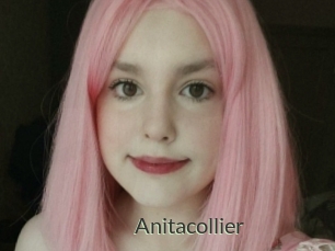 Anitacollier