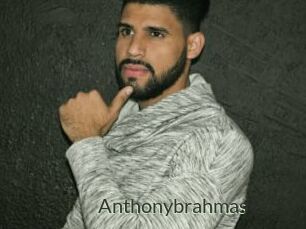 Anthonybrahmas