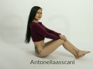 Antonellaasscani