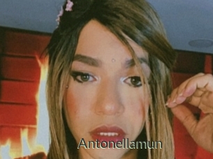 Antonellamun