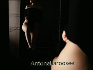Antonellaroosee