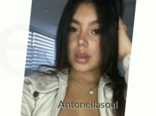 Antonellasoul